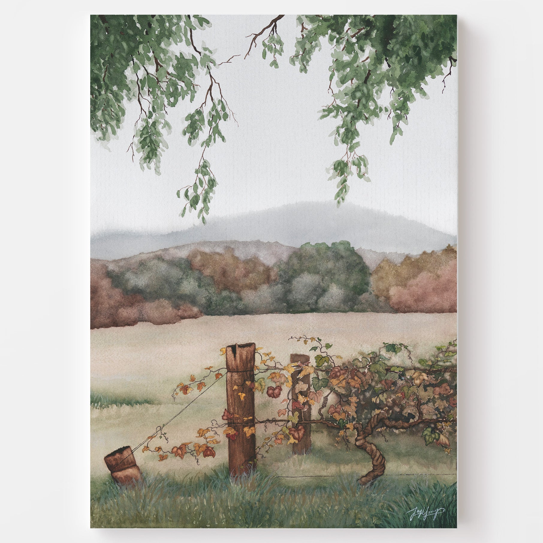 'Autumn Vines' - Fine Art Print - Young by Design