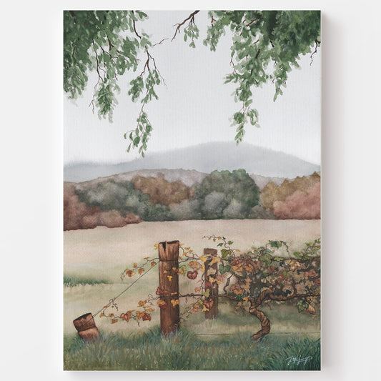 'Autumn Vines' - Fine Art Print - Young by Design