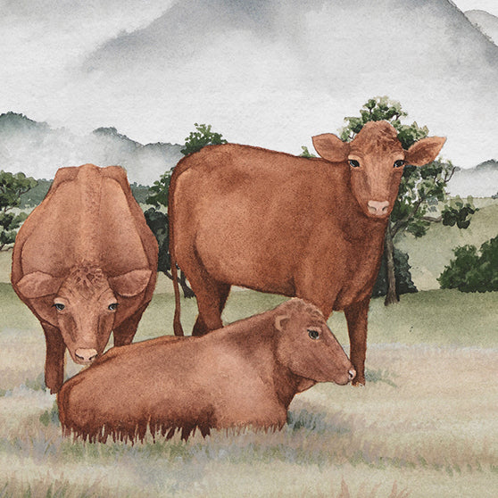 'Gentle Grazing' - Countryside Landscape Fine Art Print - Young by Design