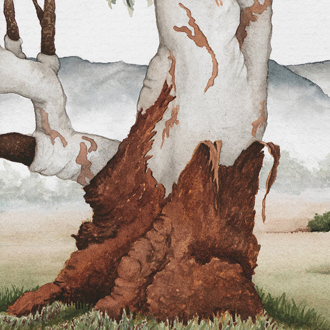 'Grand Roots' - Countryside Landscape Fine Art Print - Young by Design