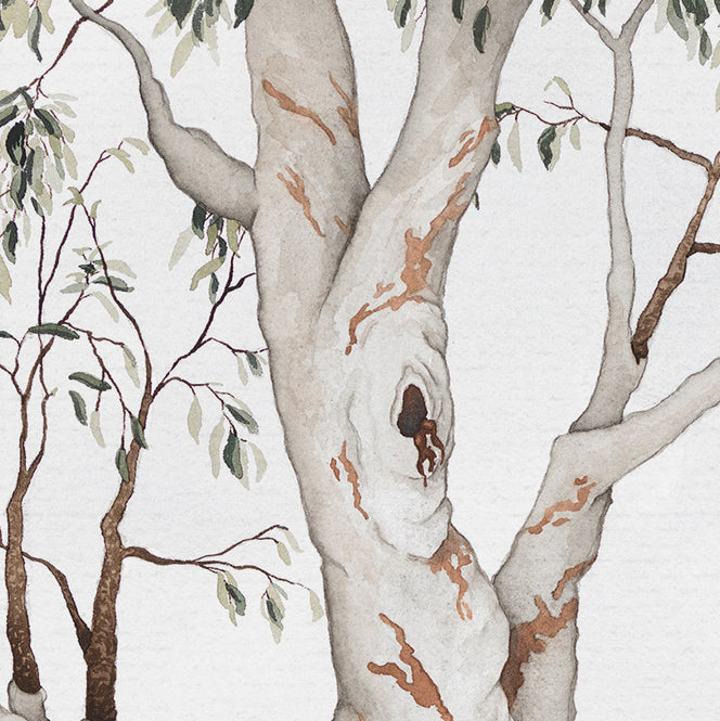 'Grand Roots' - Countryside Landscape Fine Art Print - Young by Design