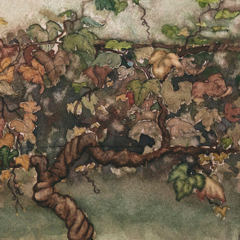 'Autumn Vines' - Fine Art Print - Young by Design