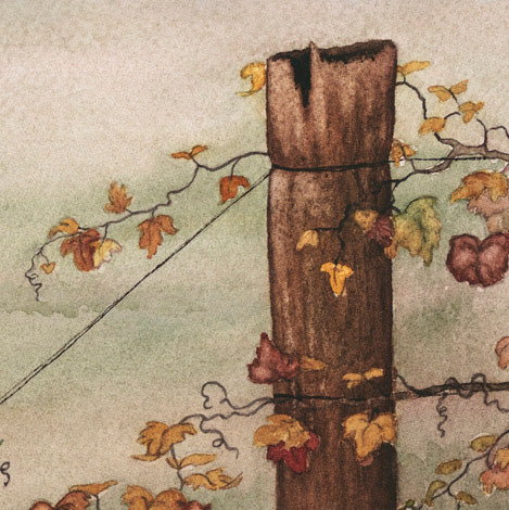 'Autumn Vines' - Fine Art Print - Young by Design