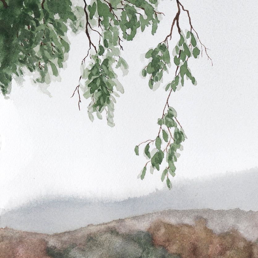 'Autumn Vines' - Fine Art Print - Young by Design