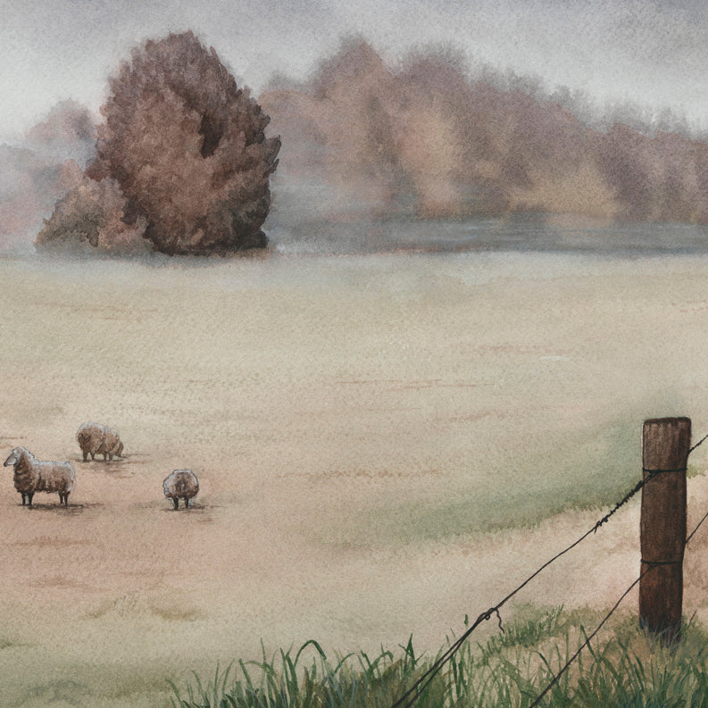 'Mist Settling In' - Fine Art Print - Young by Design