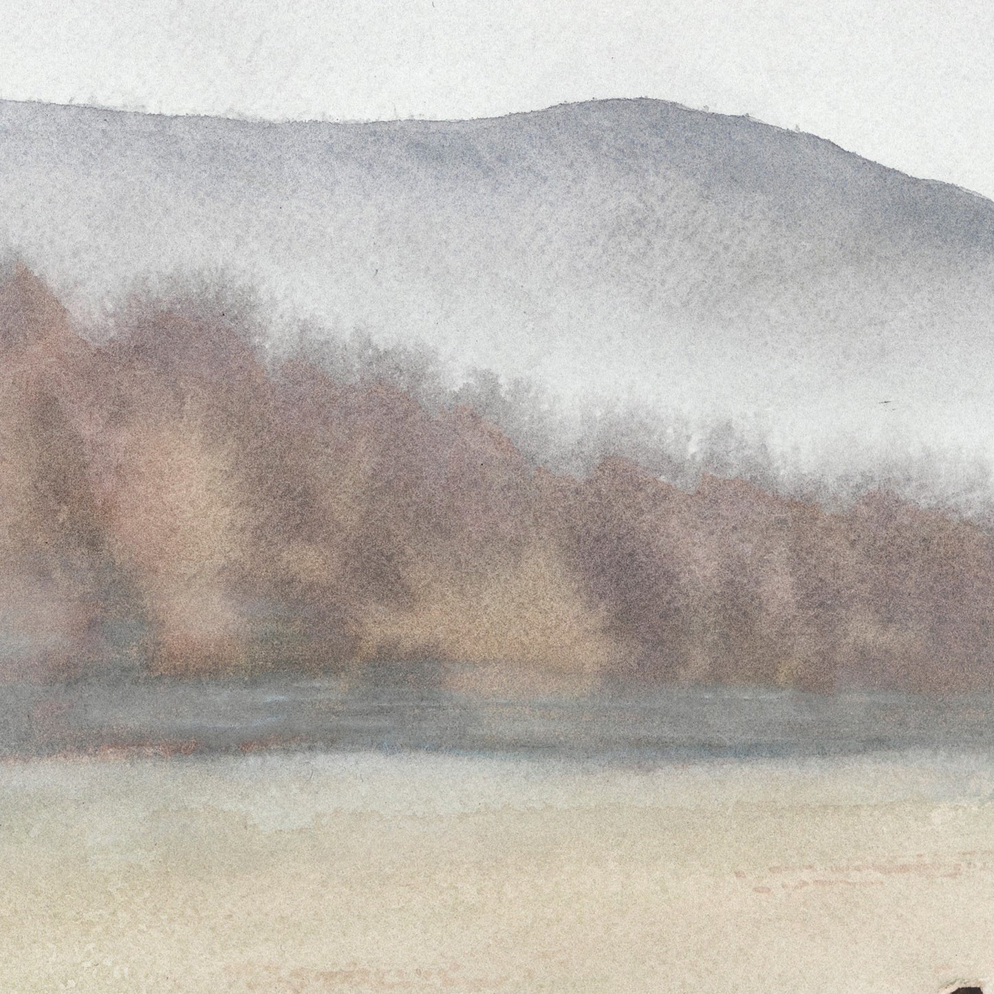 'The Path Through' - Fine Art Print - Young by Design