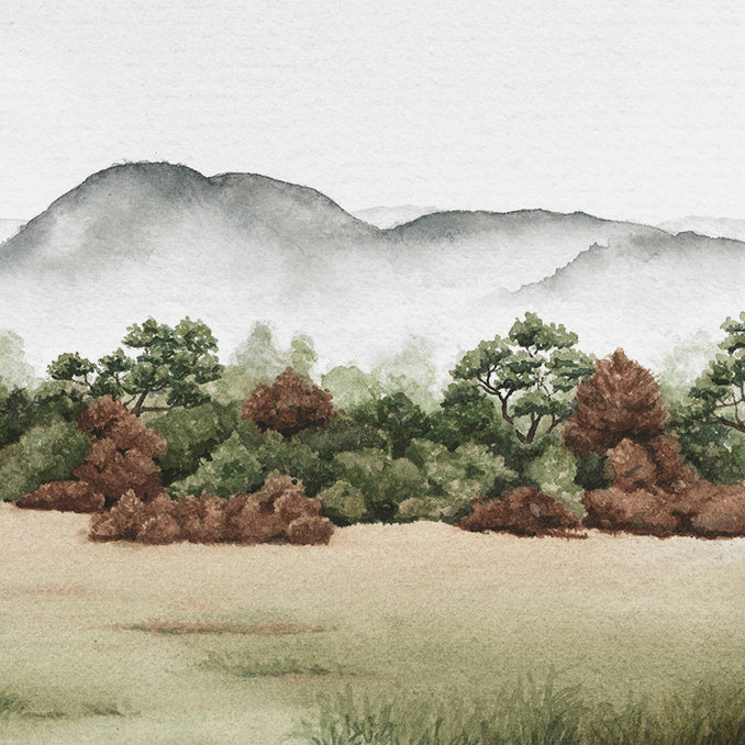 'Grand Roots' - Countryside Landscape Fine Art Print - Young by Design