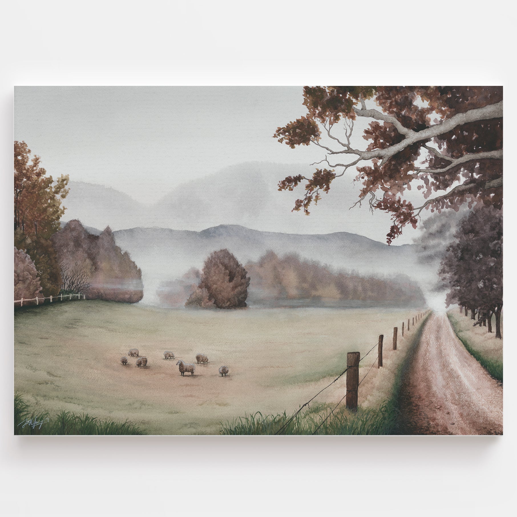 'Mist Settling In' - Fine Art Print - Young by Design