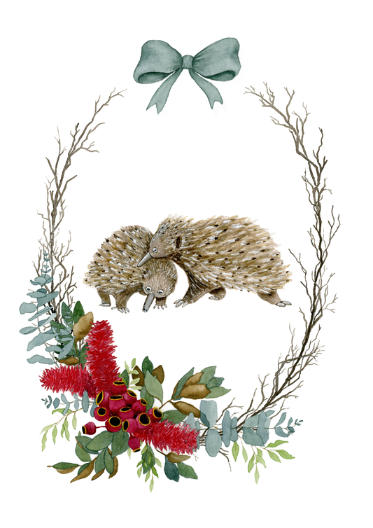 Set of 6 - Aussie Snuggles Blank Christmas Card Set - Young by Design
