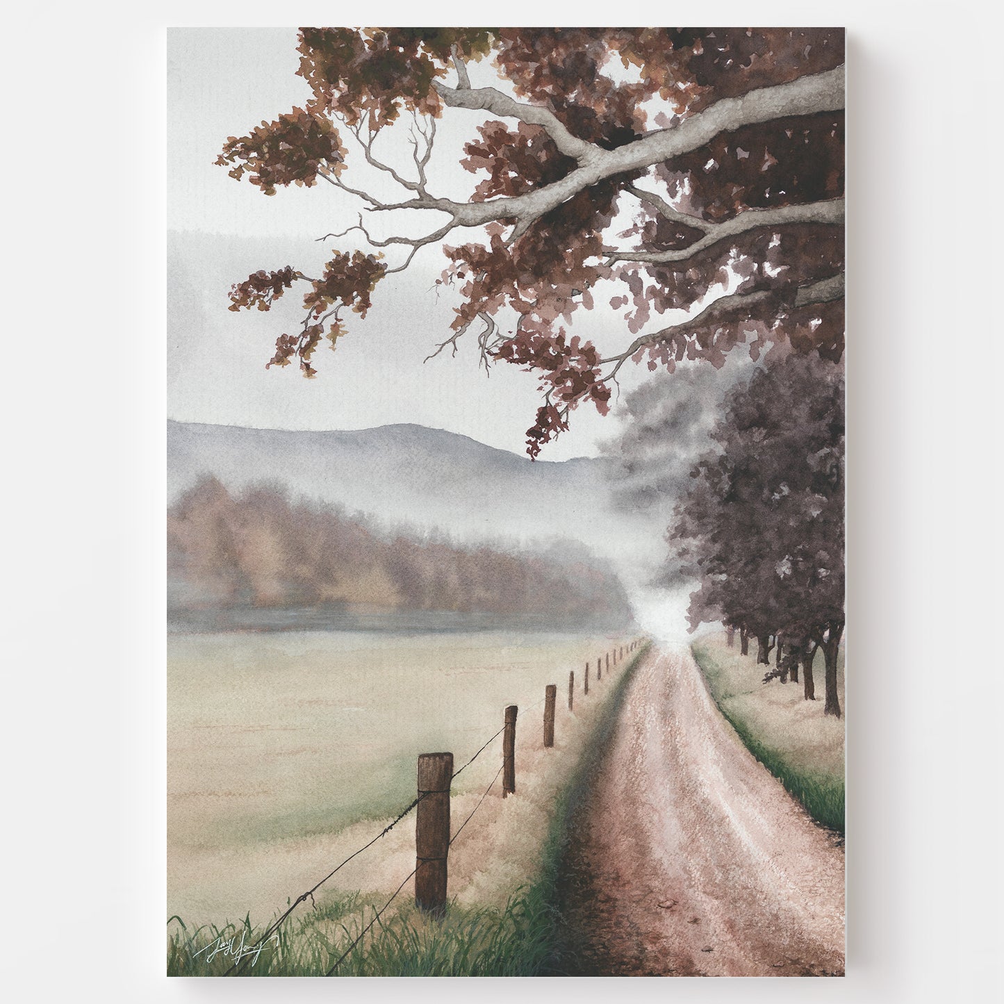 'The Path Through' - Fine Art Print - Young by Design