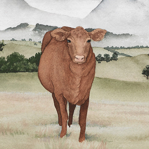 'Gentle Grazing' - Countryside Landscape Fine Art Print - Young by Design