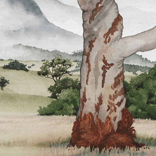 'Gentle Grazing' - Countryside Landscape Fine Art Print - Young by Design