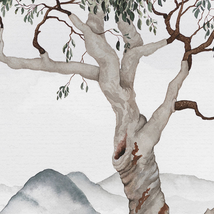 'Gentle Grazing' - Countryside Landscape Fine Art Print - Young by Design