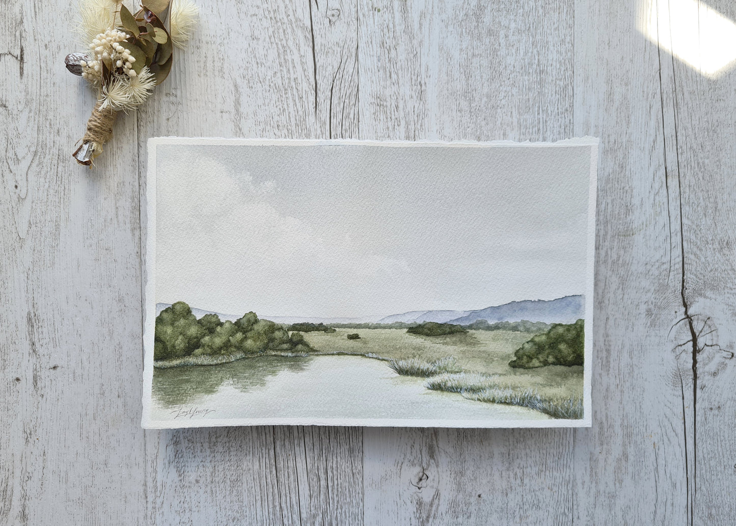 Meadow Ponds - ORIGINAL - Young by Design