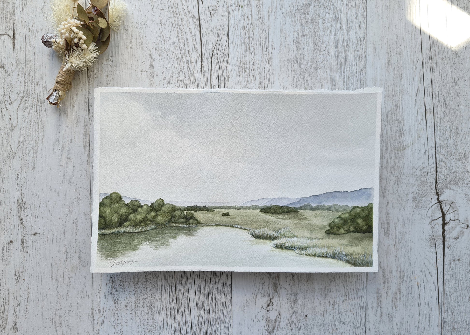 Meadow Ponds - ORIGINAL - Young by Design