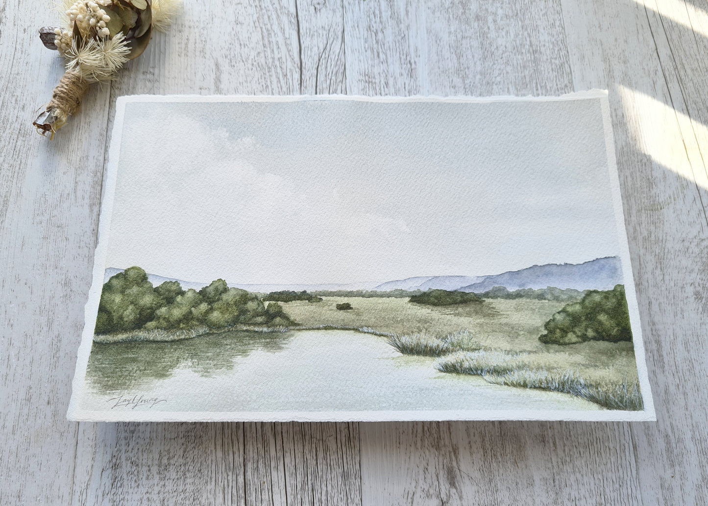 Meadow Ponds - ORIGINAL - Young by Design
