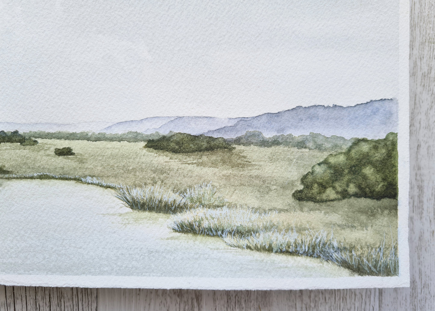 Meadow Ponds - ORIGINAL - Young by Design