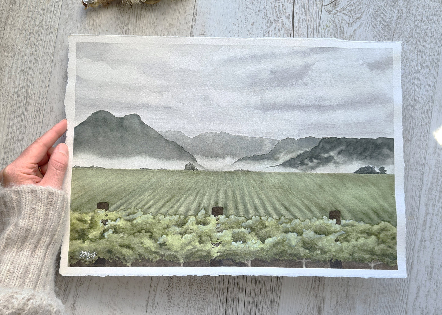 Valley Vines - ORIGINAL - Young by Design