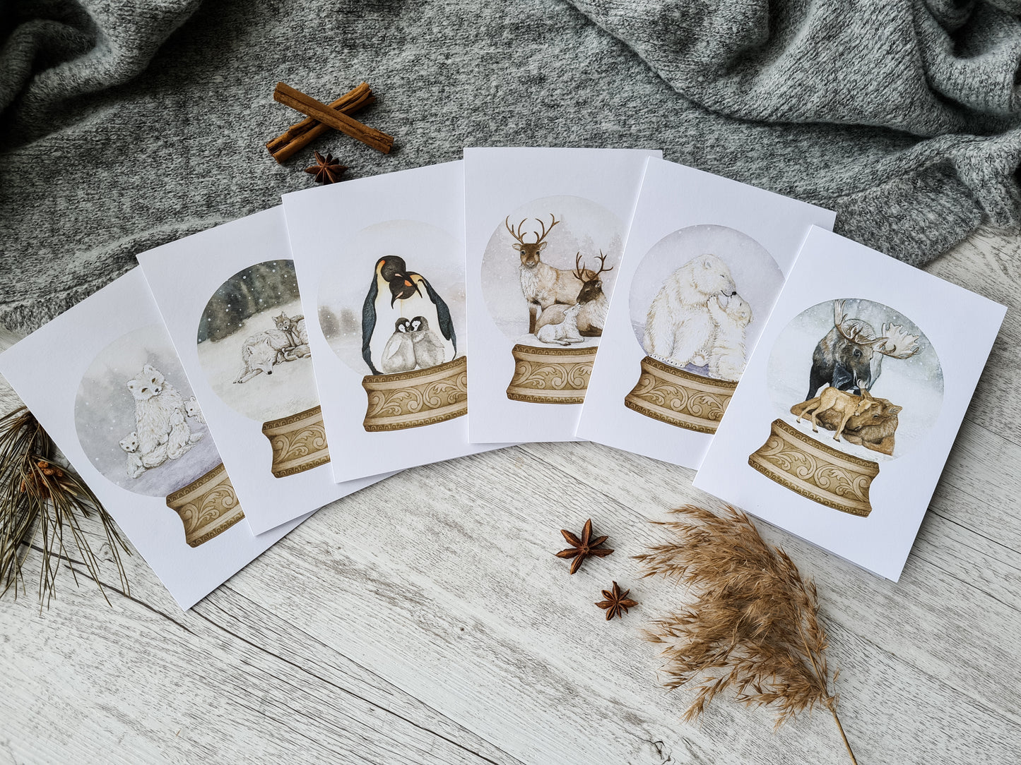 Boxed Set of 6 Christmas Cards - Young by Design