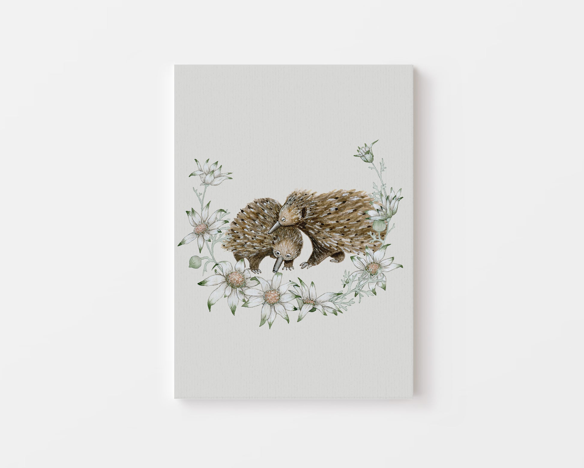 The Echidnas.