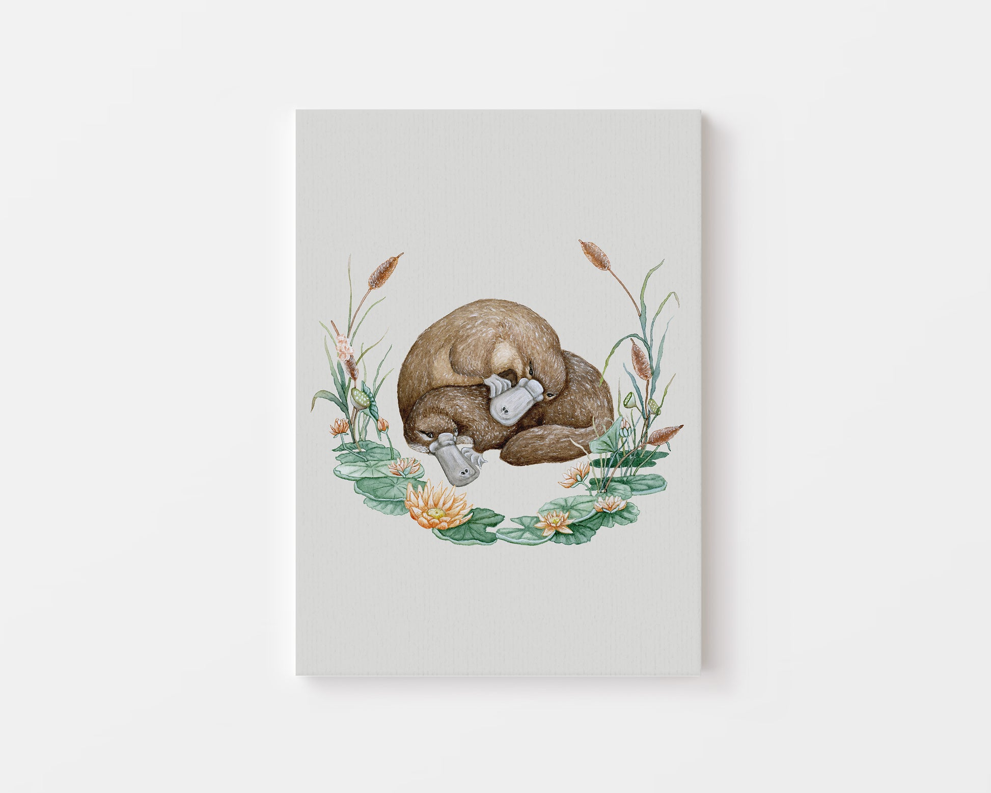 The Platypus.