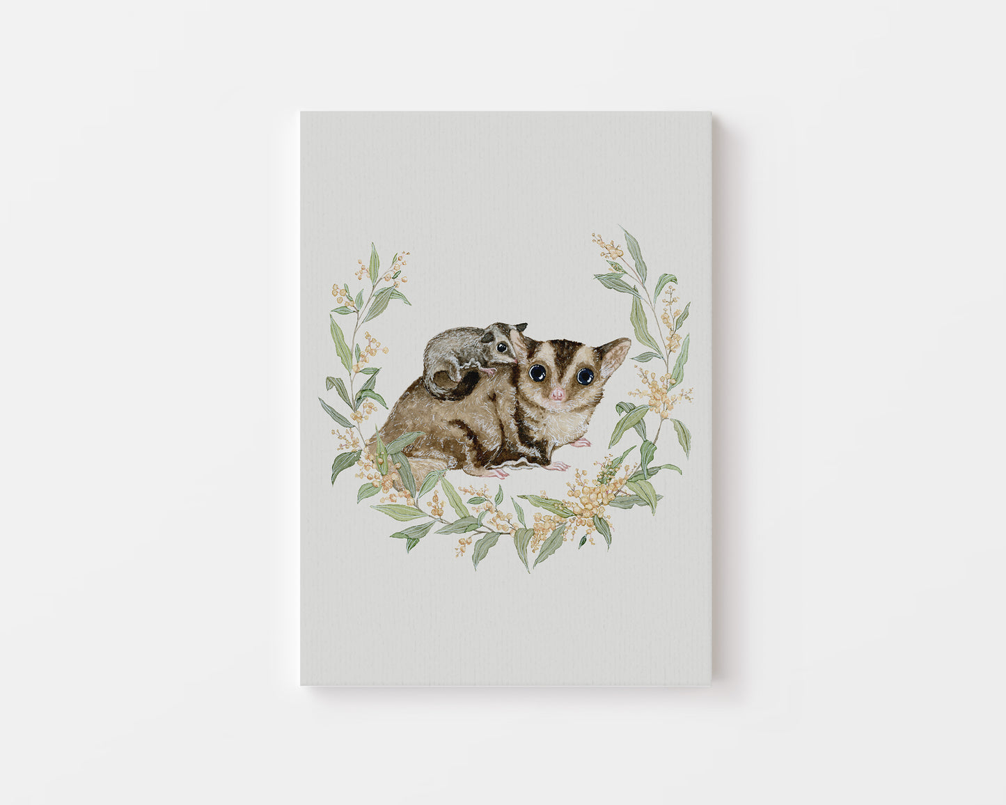 The Sugar Gliders.