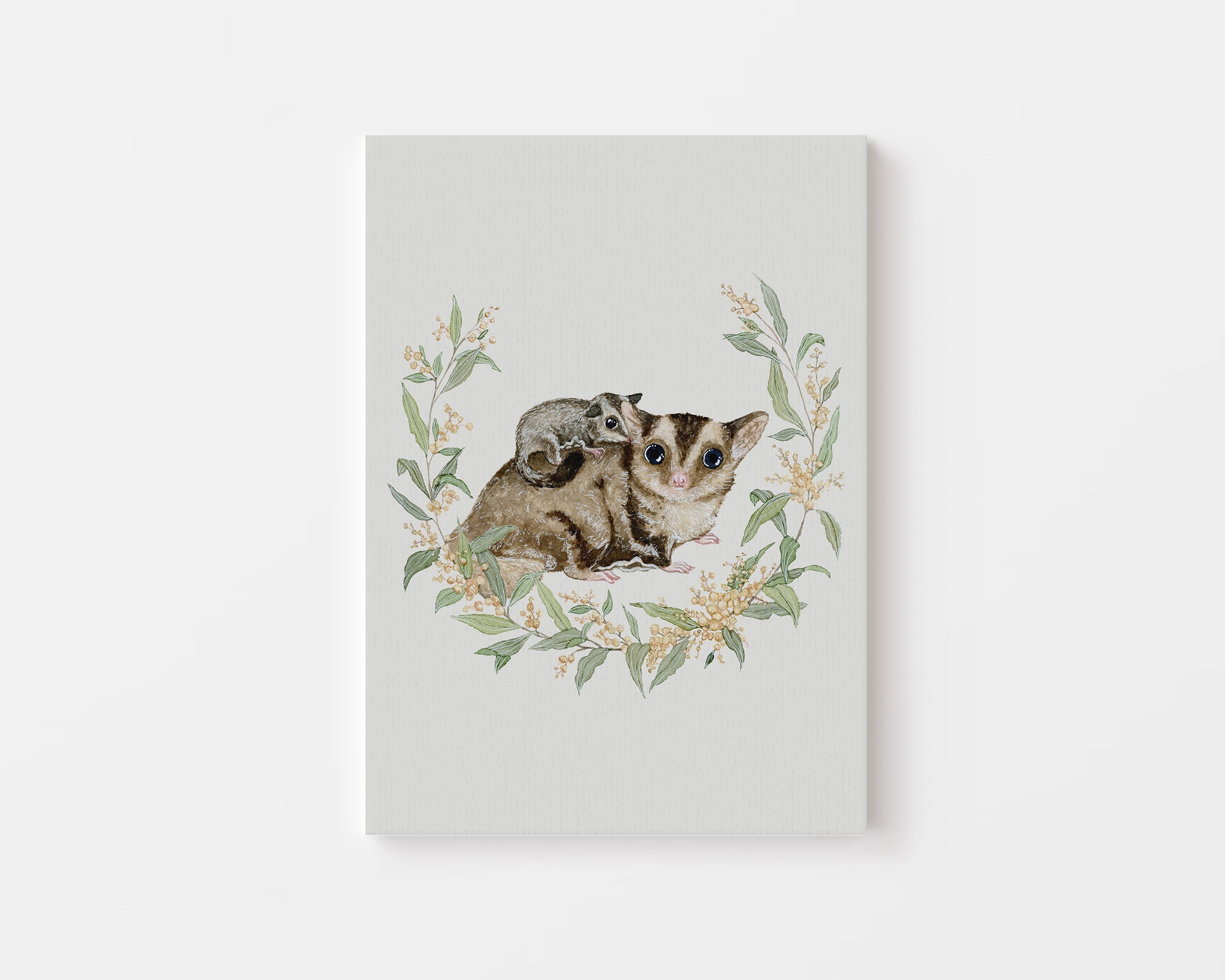 The Sugar Gliders.