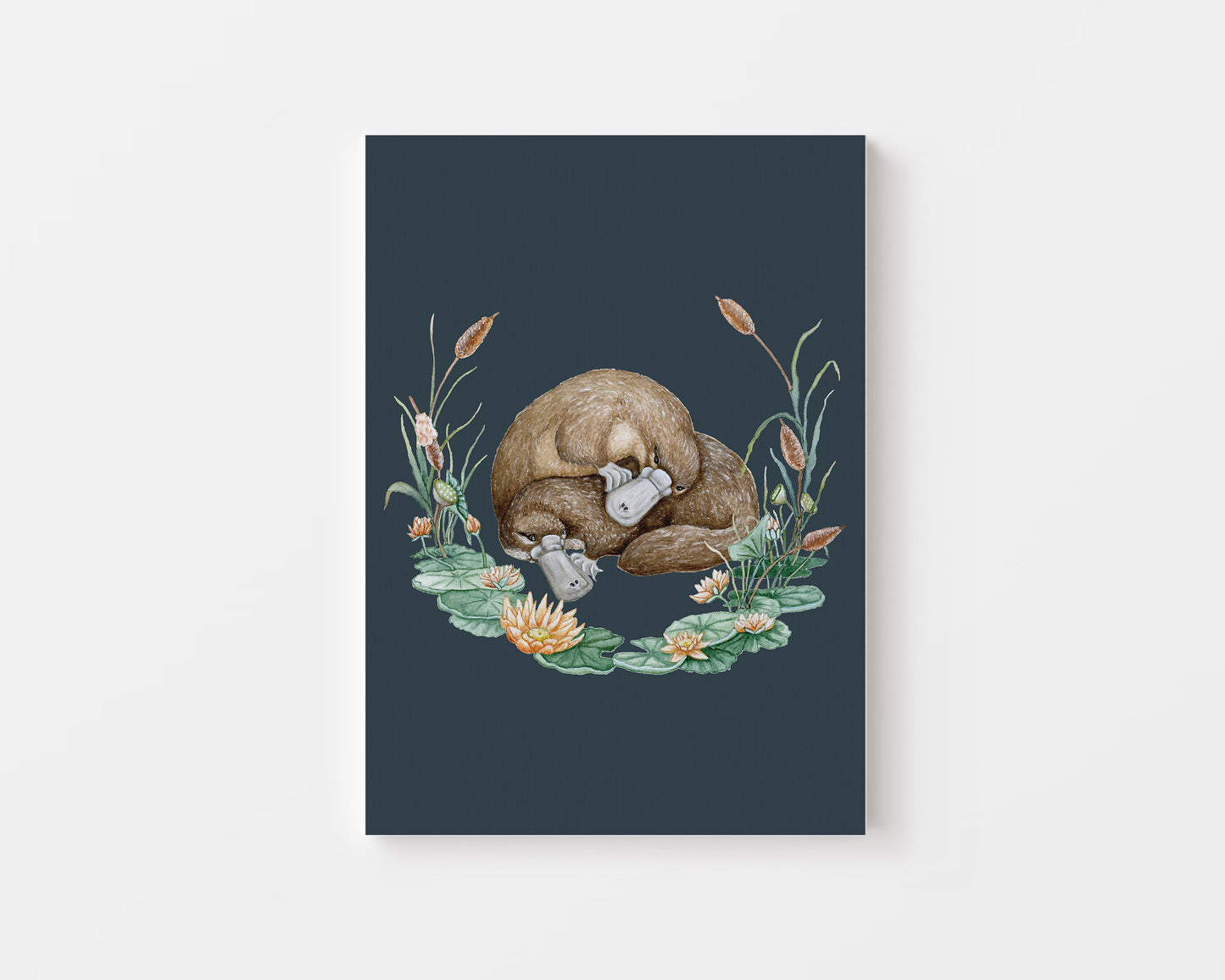 The Platypus.