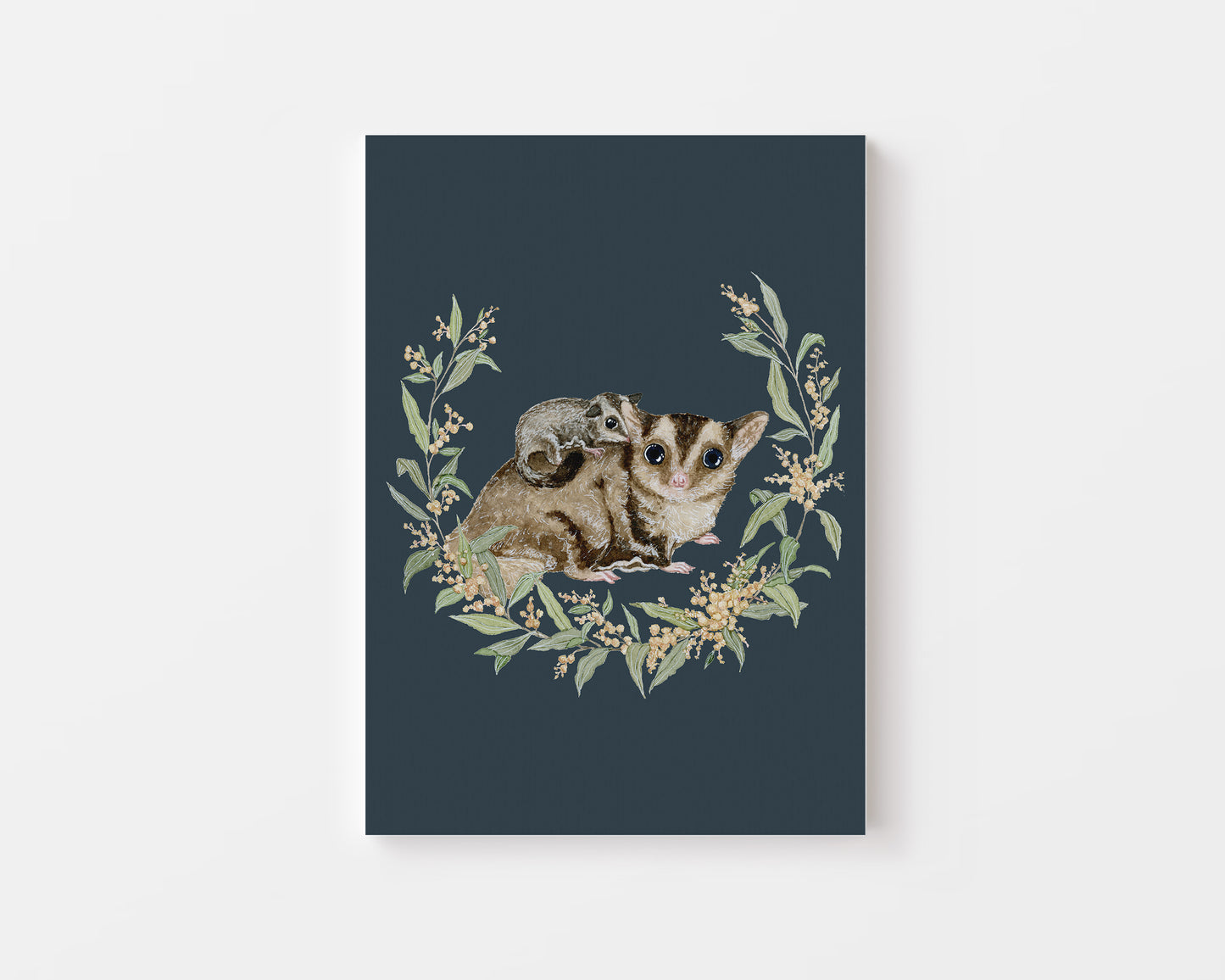 The Sugar Gliders.