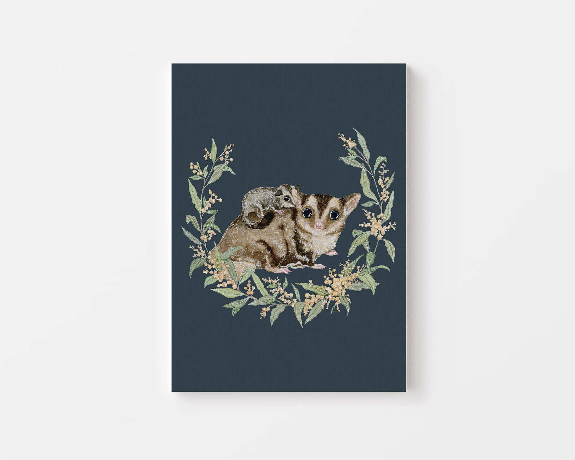 The Sugar Gliders.