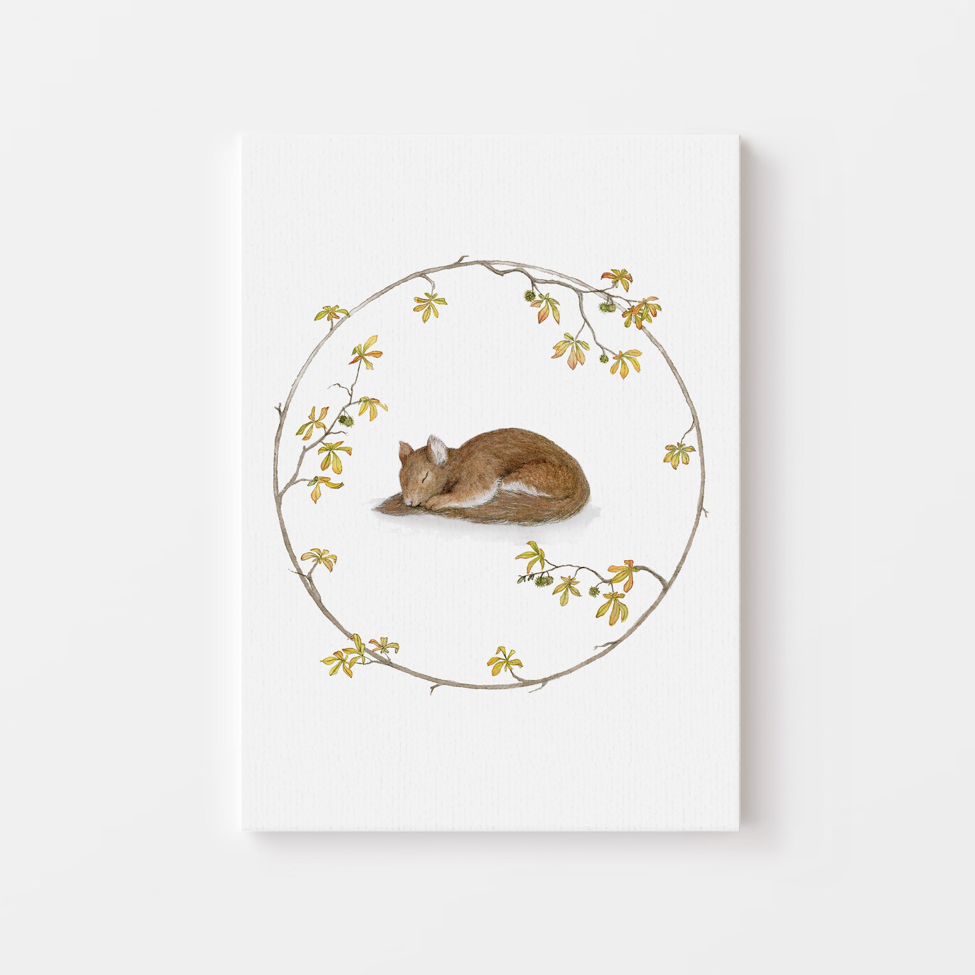 The Sleeping Squirrel.