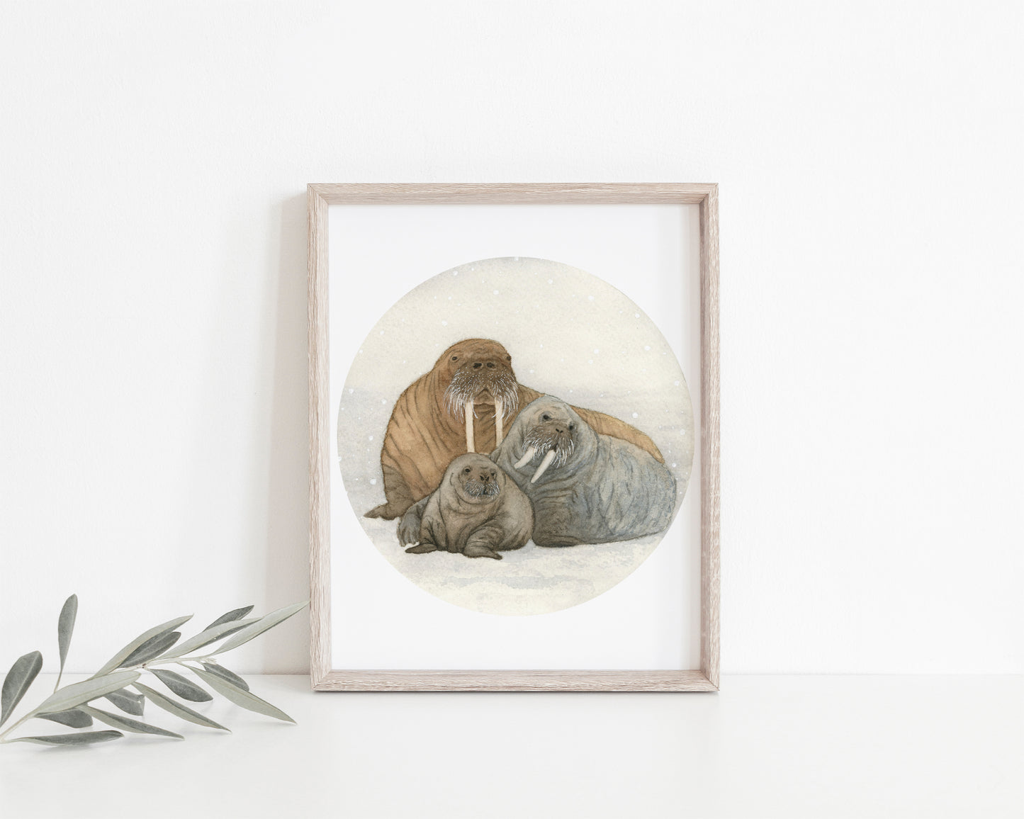 The Walrus Family.