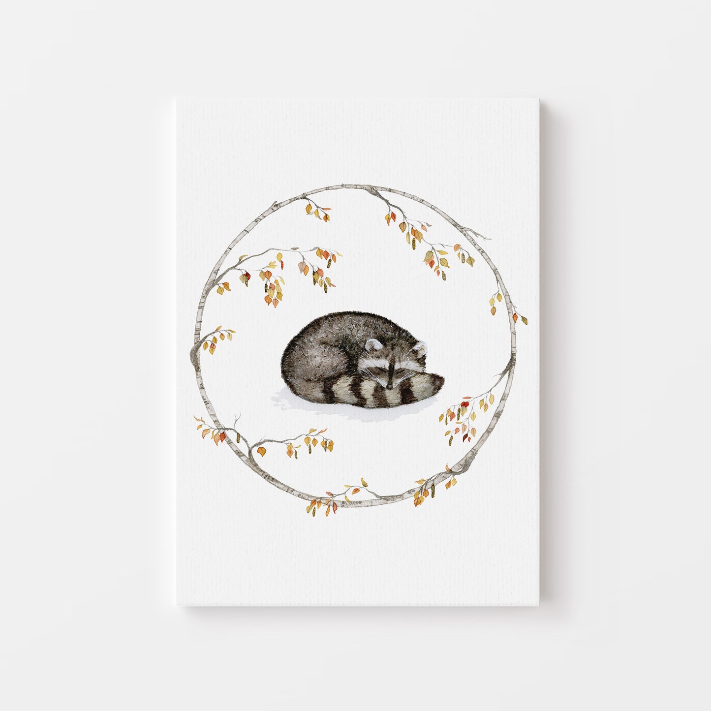 The Sleeping Raccoon.