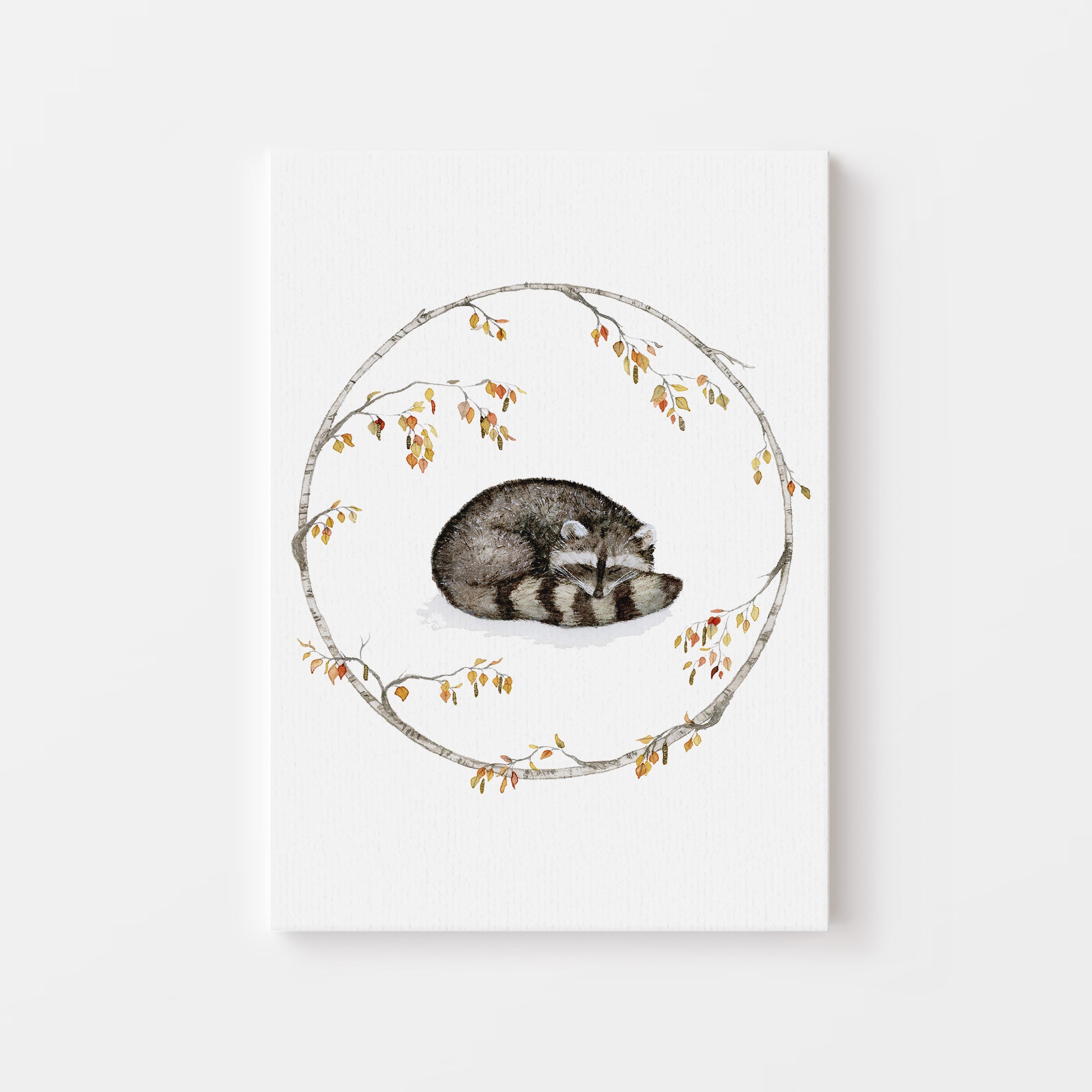 The Sleeping Raccoon.