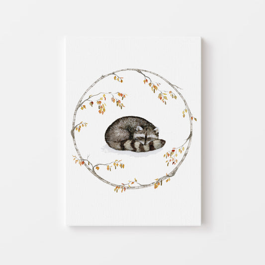 The Sleeping Raccoon.