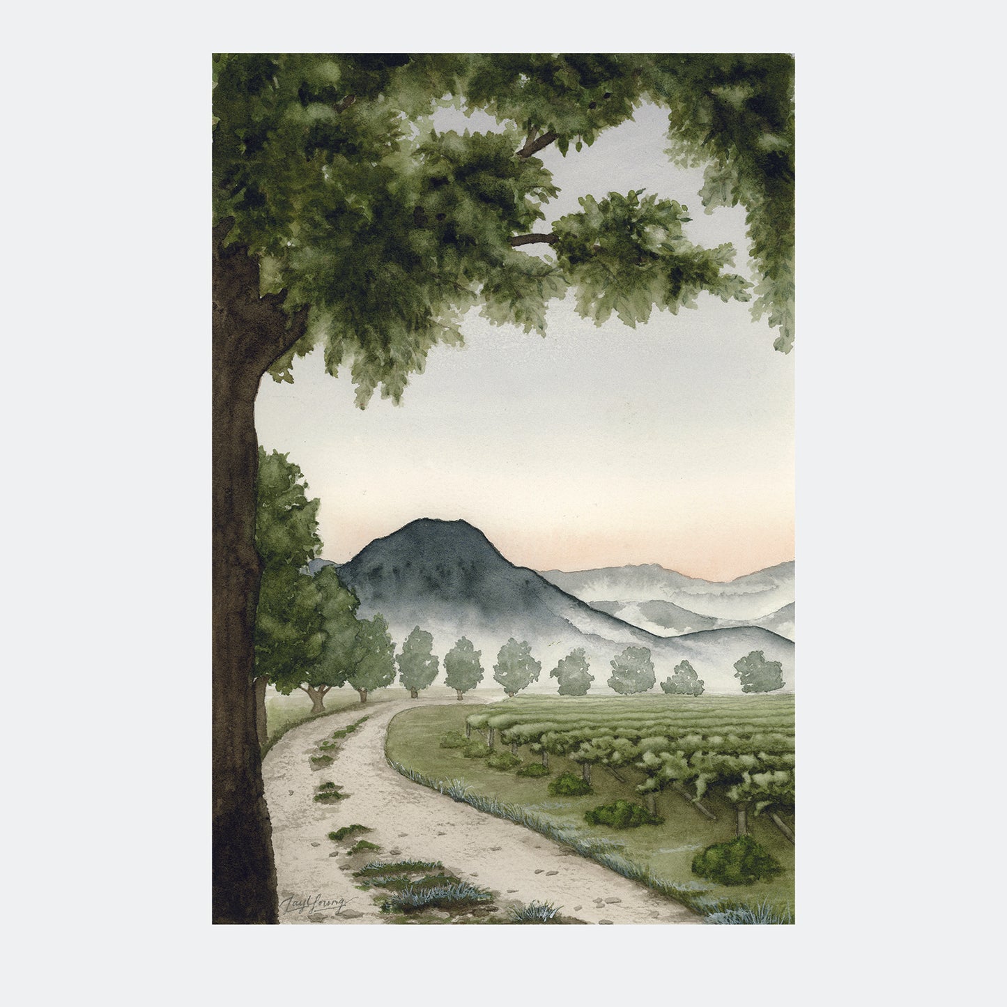 First Light - ORIGINAL - Young by Design