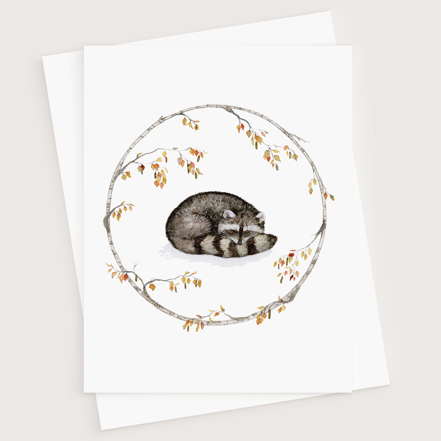 Sleeping Raccoon Greeting Card - Young by Design