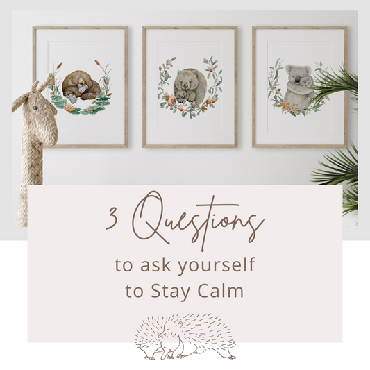 3 QUESTIONS to ask Yourself as a New Mumma to help Stay Calm.