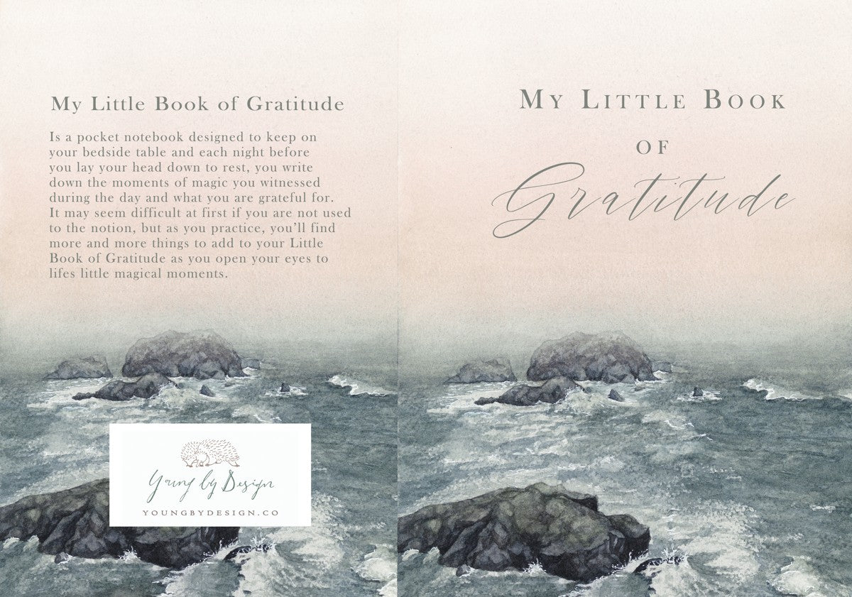 Gratitude Notebook Oceans Mist