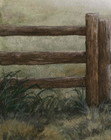 Between Shadows & Dawn - Fine Art Print - Young by Design