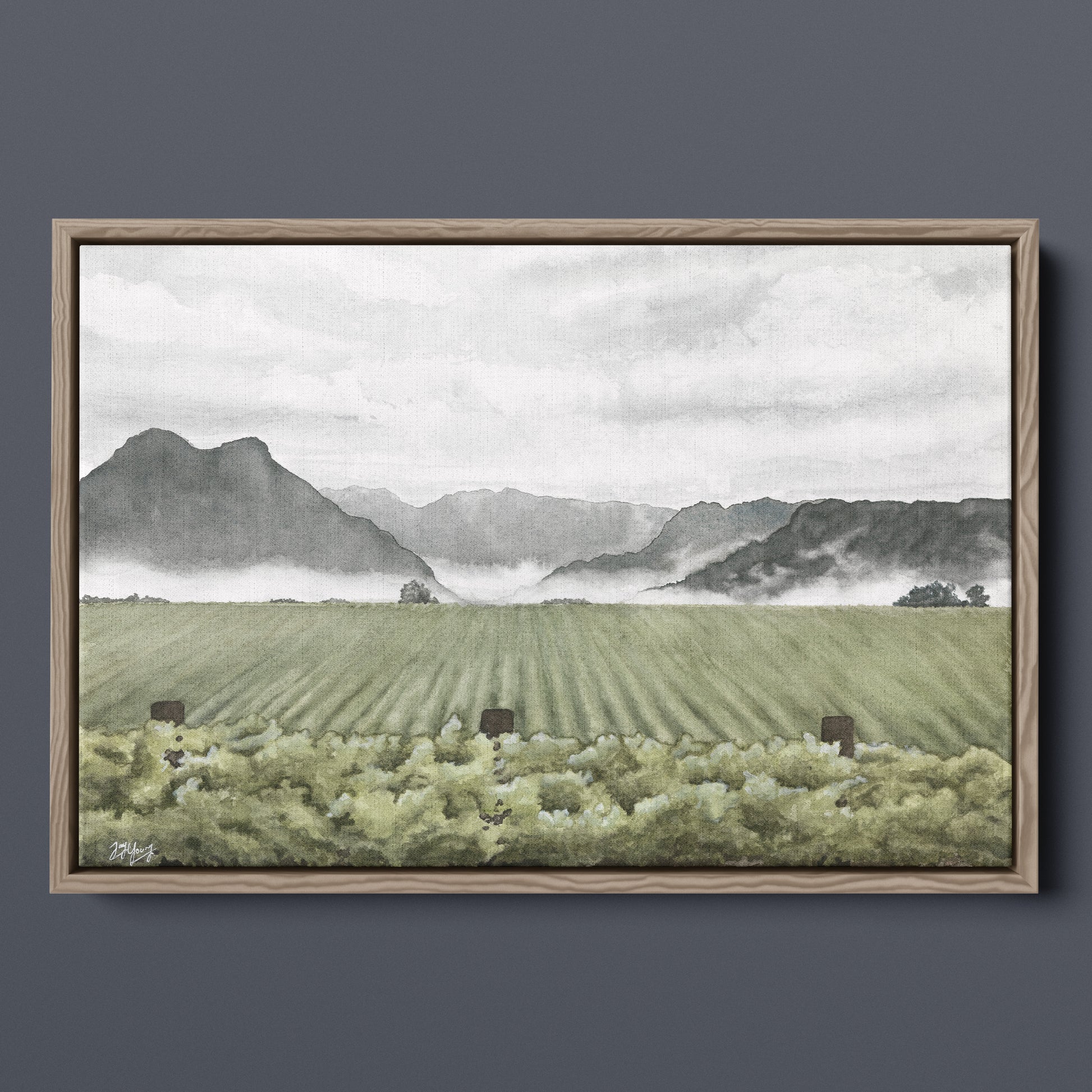 Valley Vines - Canvas Print - Young by Design