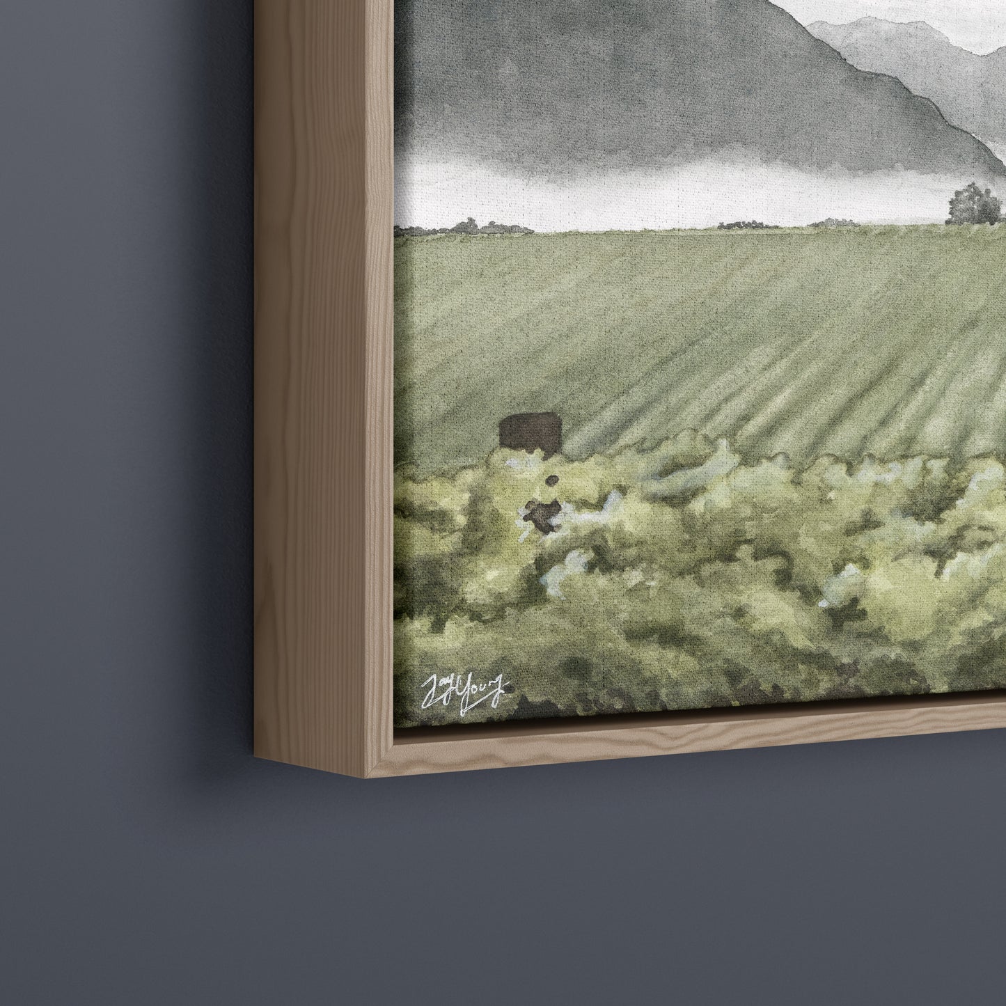 Valley Vines - Canvas Print - Young by Design