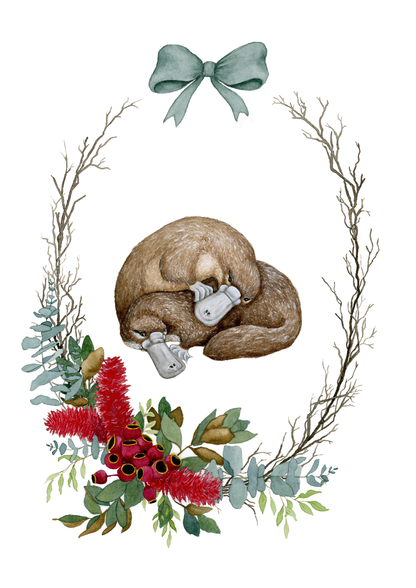 Set of 6 - Aussie Snuggles Blank Christmas Card Set - Young by Design