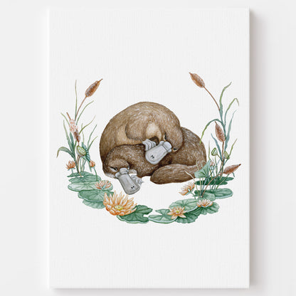 The Platypus - Young by Design