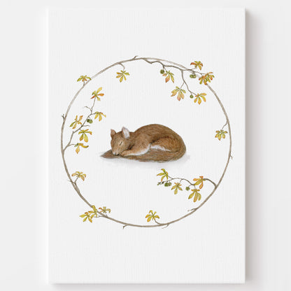 The Sleeping Squirrel - Clearance Stock on Hand Sale - Young by Design