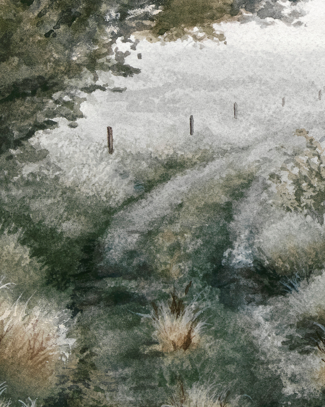 Breathing Room - Fine Art Print - Young by Design