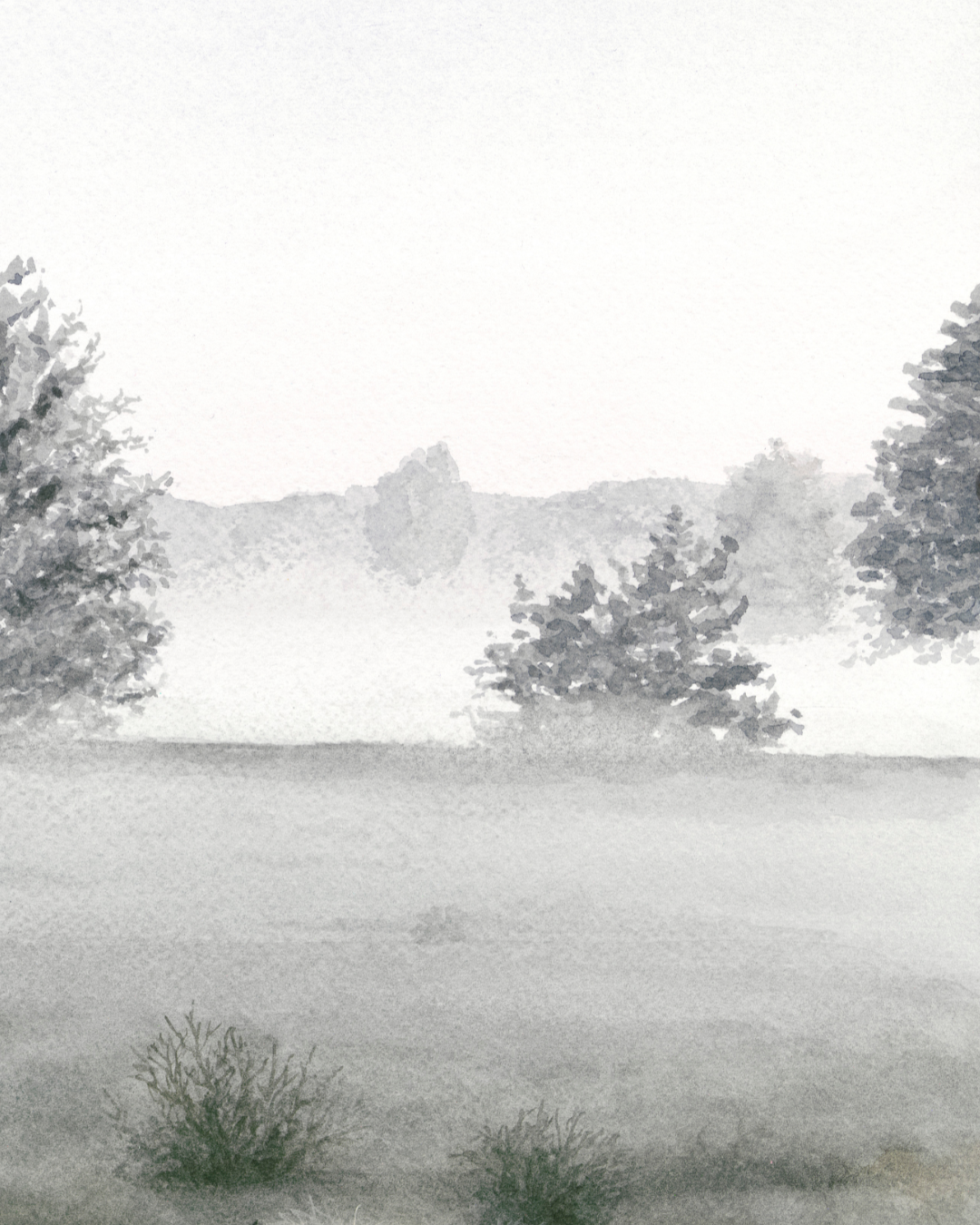 Breathing Room - Fine Art Print - Young by Design