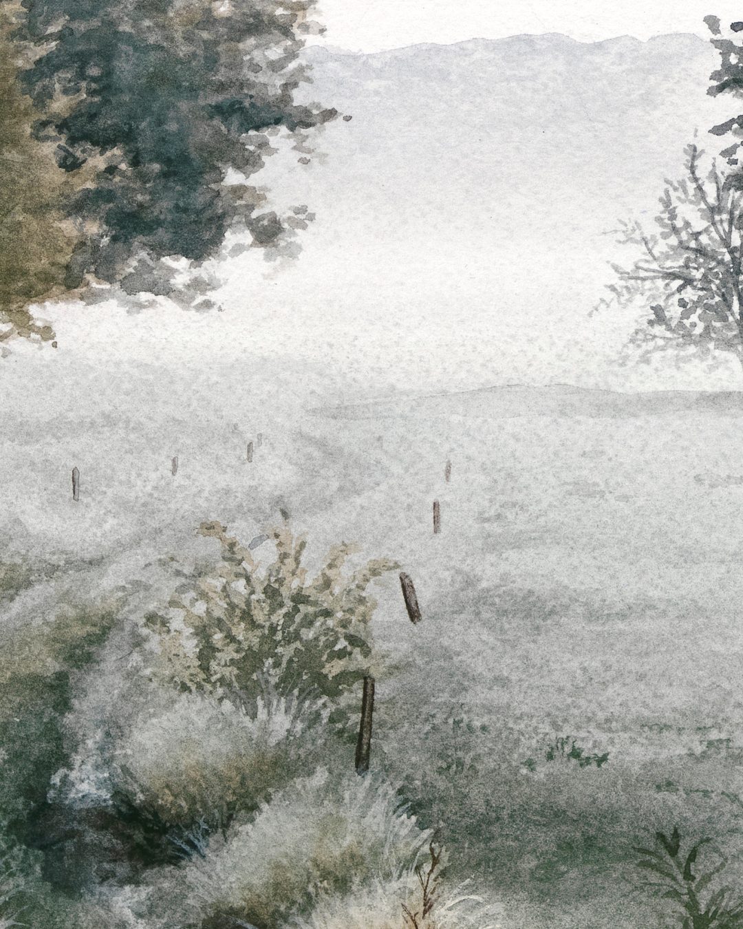 Breathing Room - Fine Art Print - Young by Design