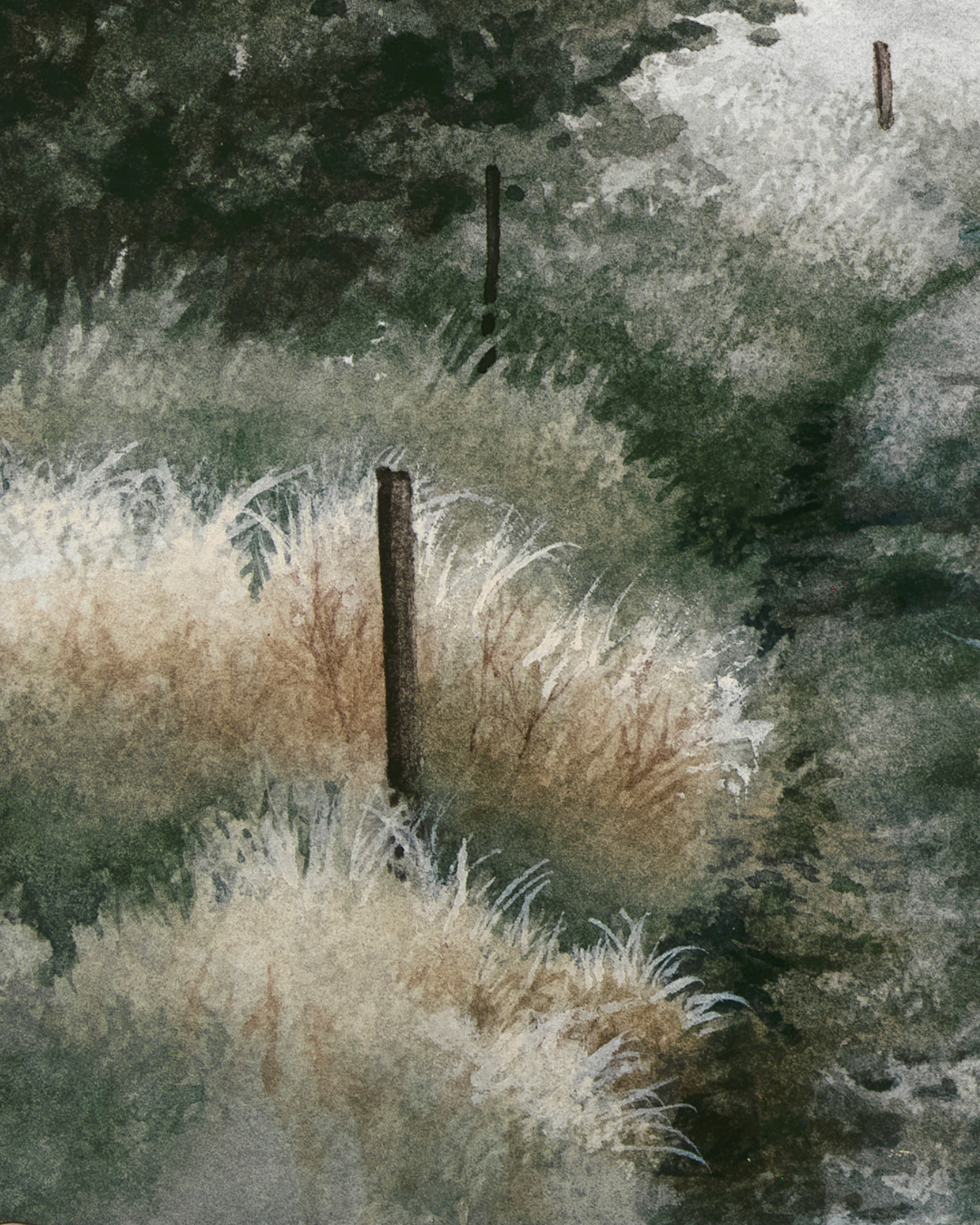 Breathing Room - Fine Art Print - Young by Design