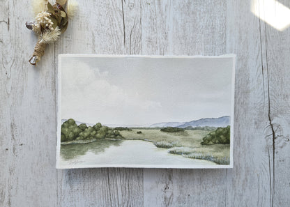 Meadow Ponds - ORIGINAL - Young by Design